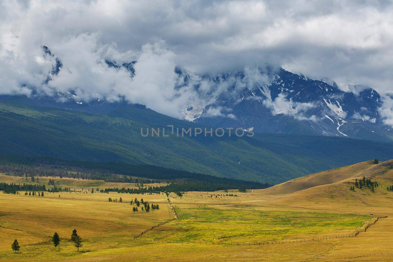 Scenic view of the snow-covered North-Chuya range in the Altai mountains in the summer, Siberia, Russia.