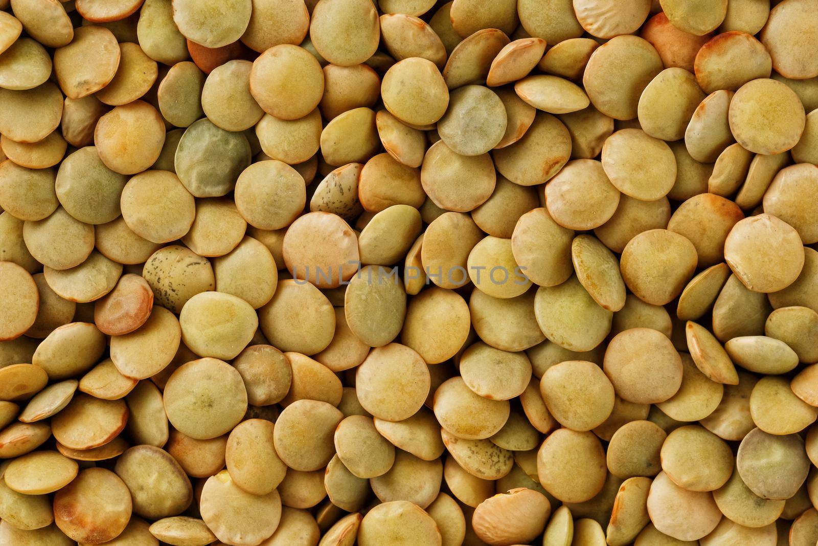 Lentils. Lentils background. Green lentils pattern. Natural organic lentils for healthy food.