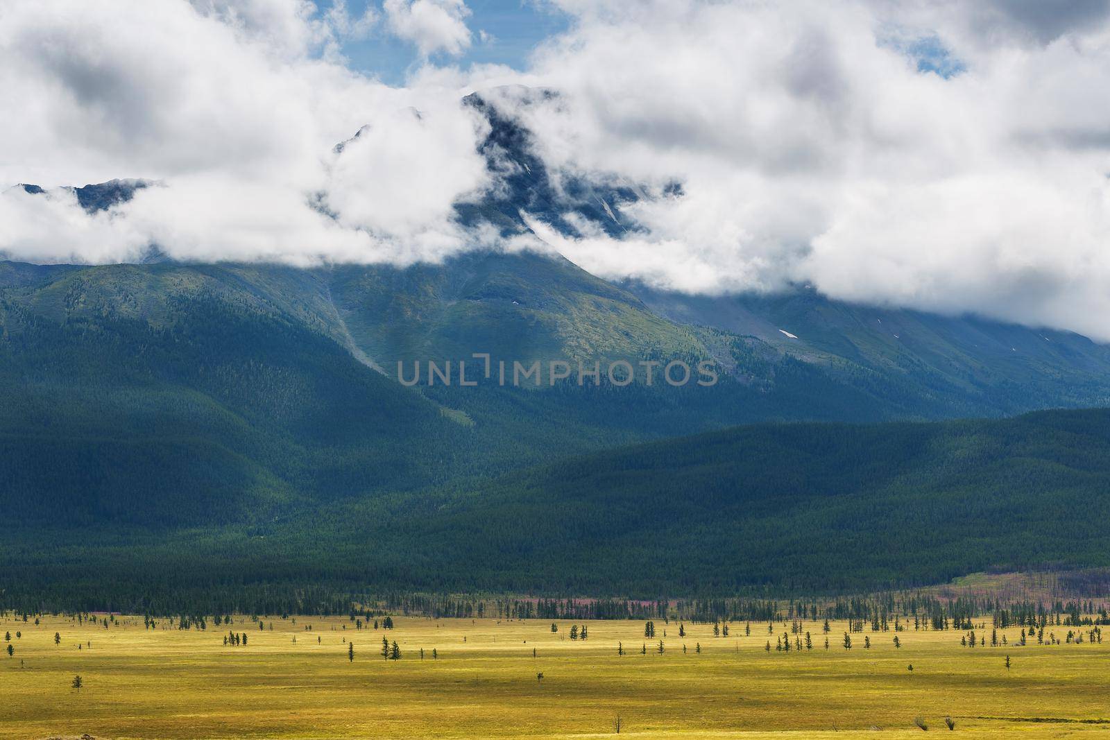 Scenic view of the snow-covered North-Chuya range in the Altai mountains in the summer, Siberia, Russia.