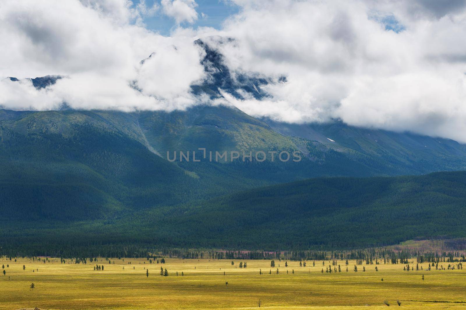 Scenic view of the snow-covered North-Chuya range in the Altai mountains in the summer, Siberia, Russia by AlexGrec