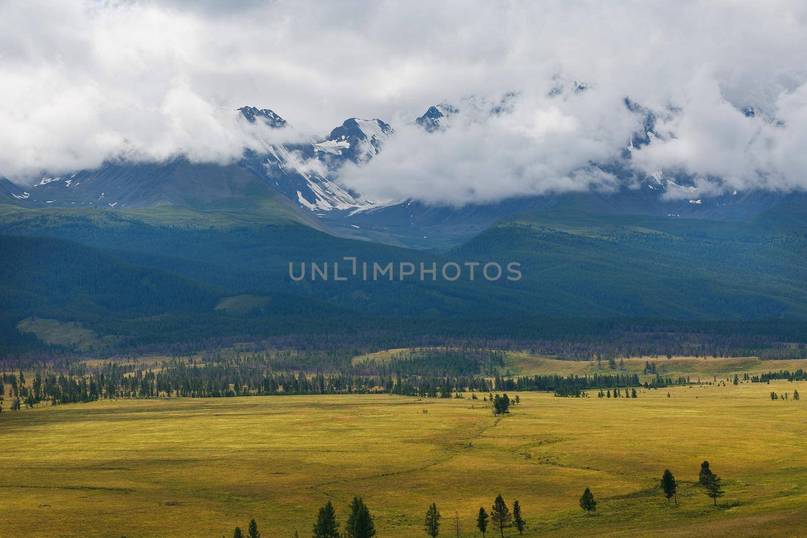 Scenic view of the snow-covered North-Chuya range in the Altai mountains in the summer, Siberia, Russia.