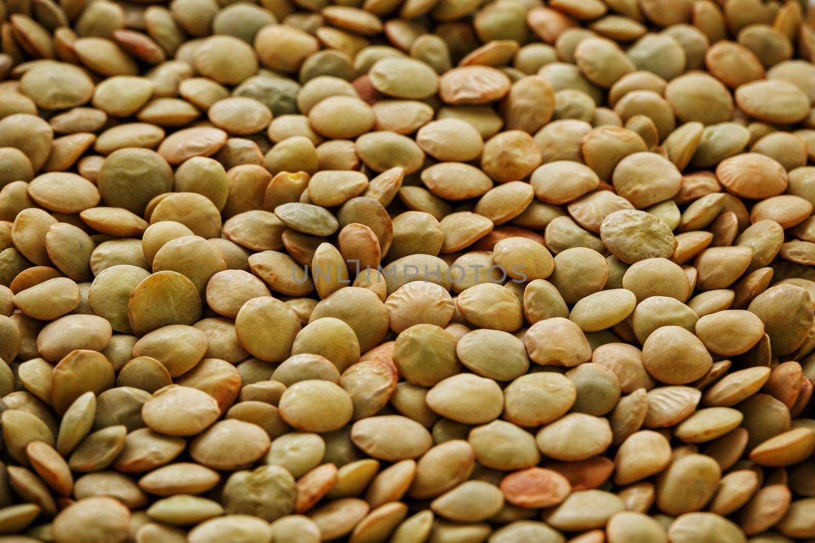 Lentils. Lentils background. Green lentils pattern. Natural organic lentils for healthy food.