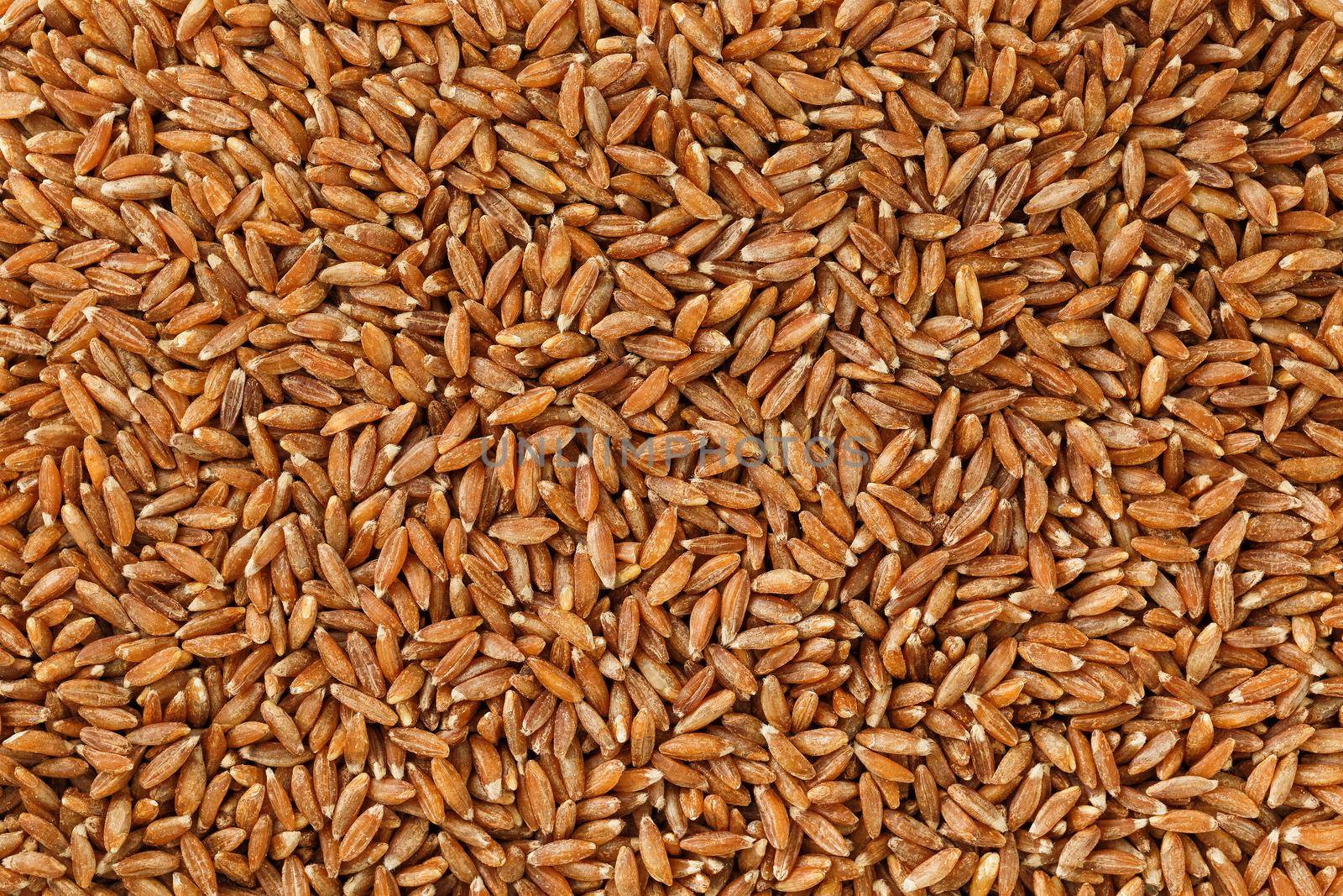 Jasmine brown rice closeup. Organic grain texture by AlexGrec