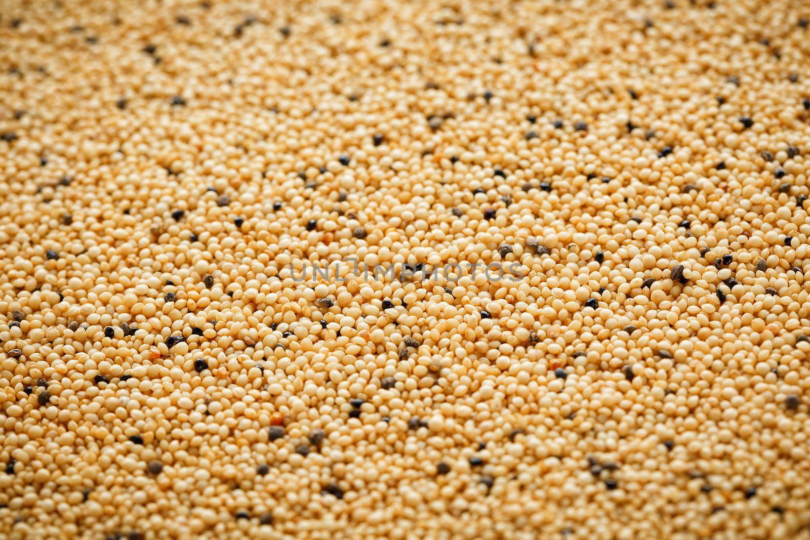 Jasmine brown rice closeup. Organic grain texture by AlexGrec