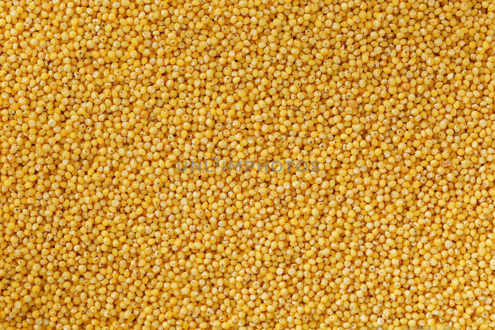 Yellow millet background. Healthy grains vegetarianism, Macro by AlexGrec