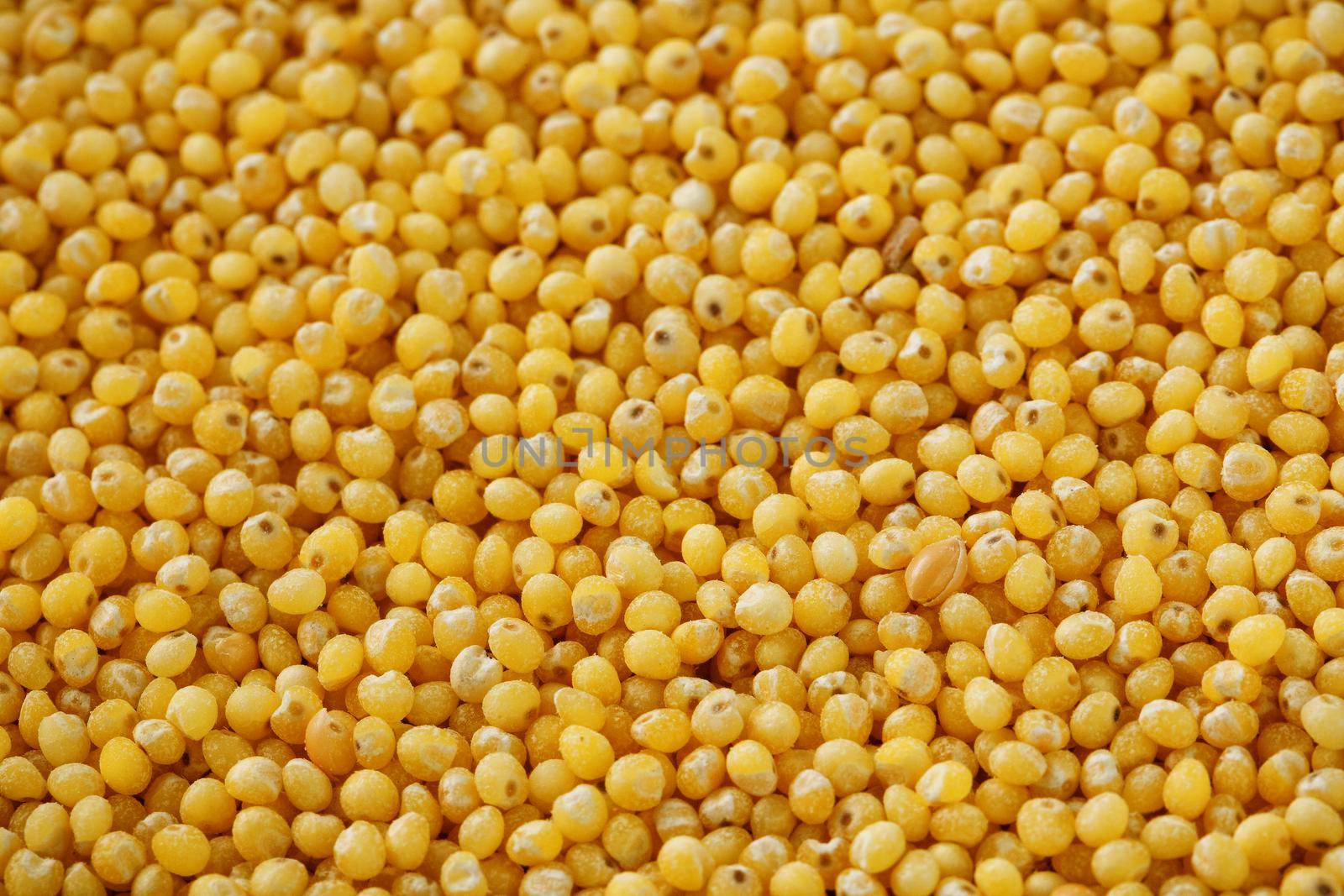 Yellow millet background. Healthy grains vegetarianism, Macro by AlexGrec