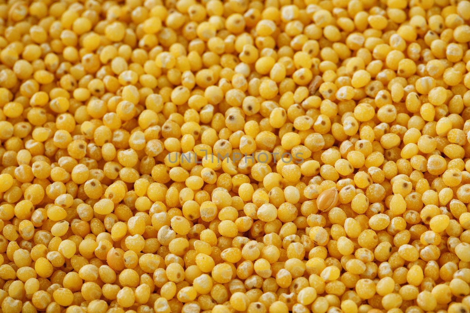 Yellow millet background. Healthy grains vegetarianism. Macro