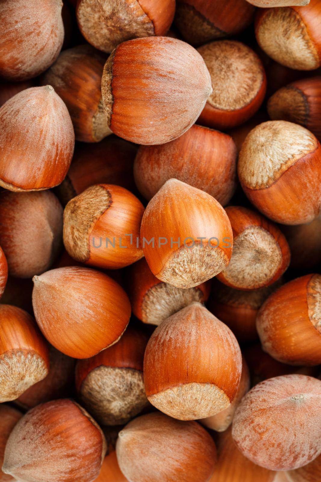 Dried unshelled hazelnuts seeds of Whole nuts as background by AlexGrec