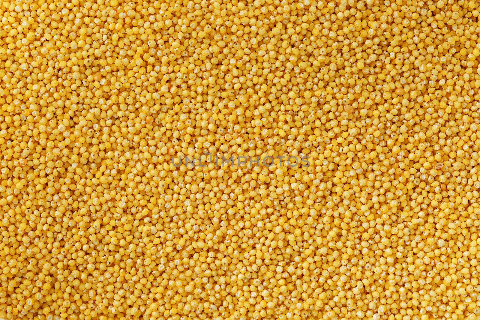 Yellow millet background. Healthy grains vegetarianism. Macro