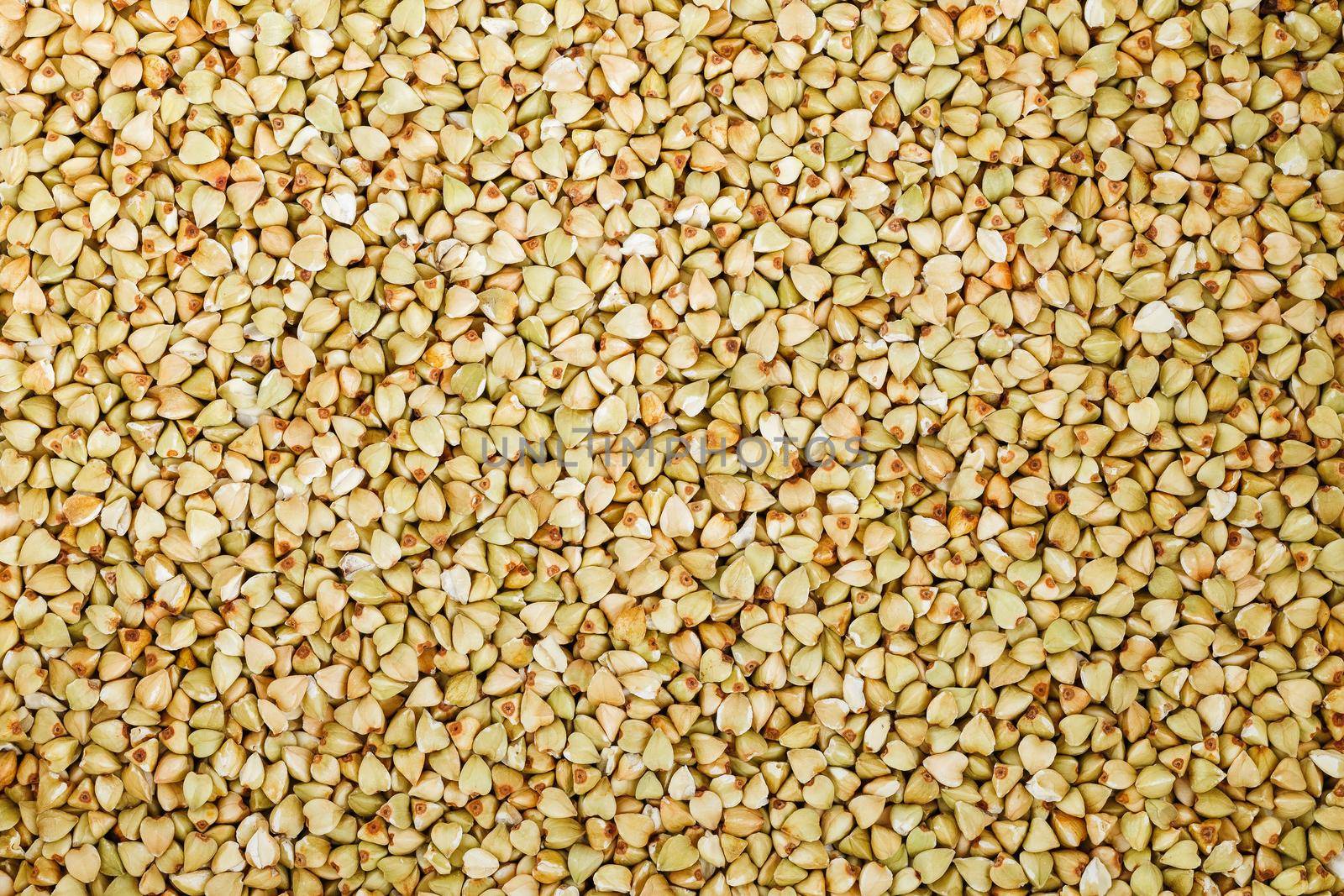 raw green buckwheat background, organic vegan food. Texture by AlexGrec