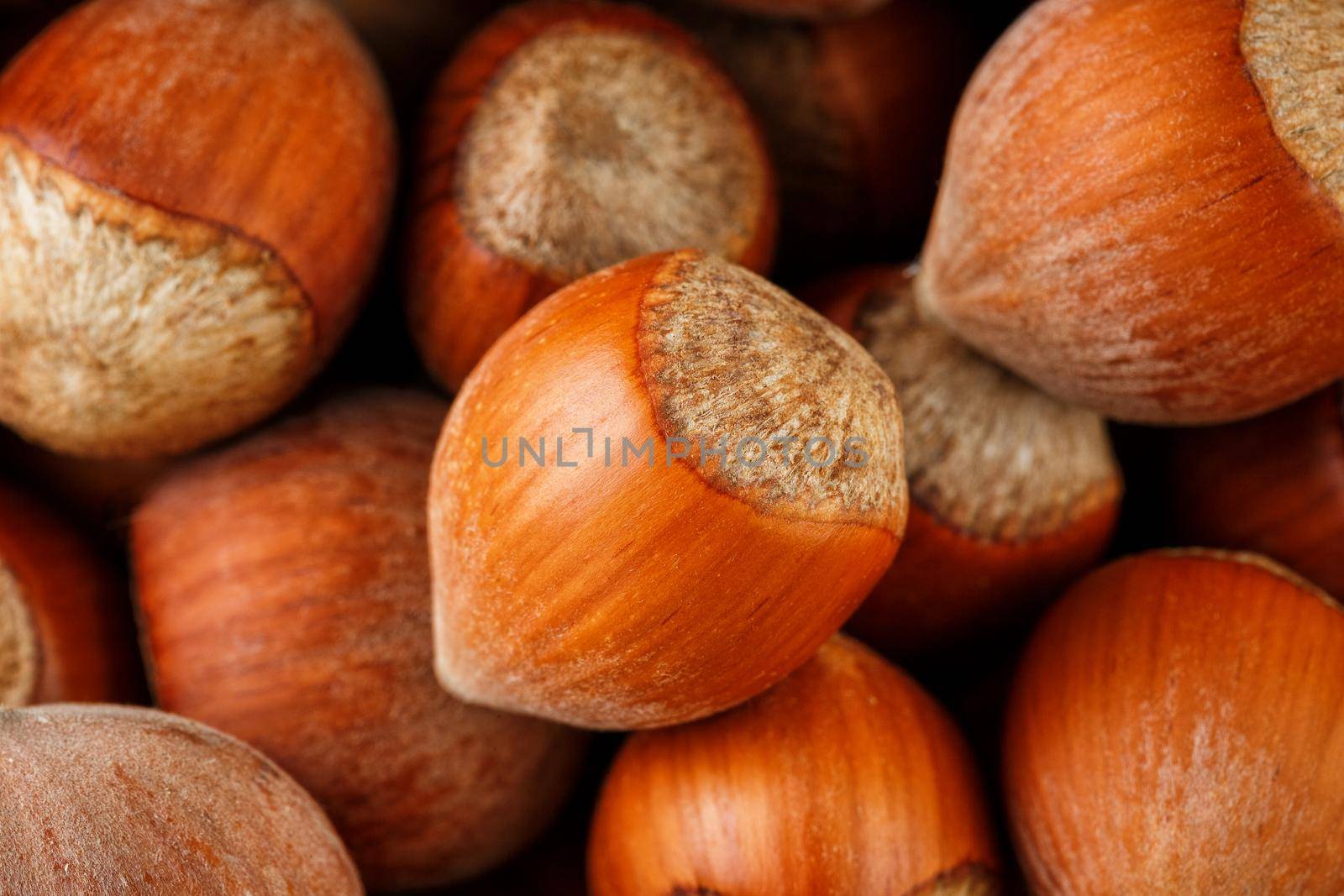 Dried unshelled hazelnuts seeds of Whole nuts as background by AlexGrec