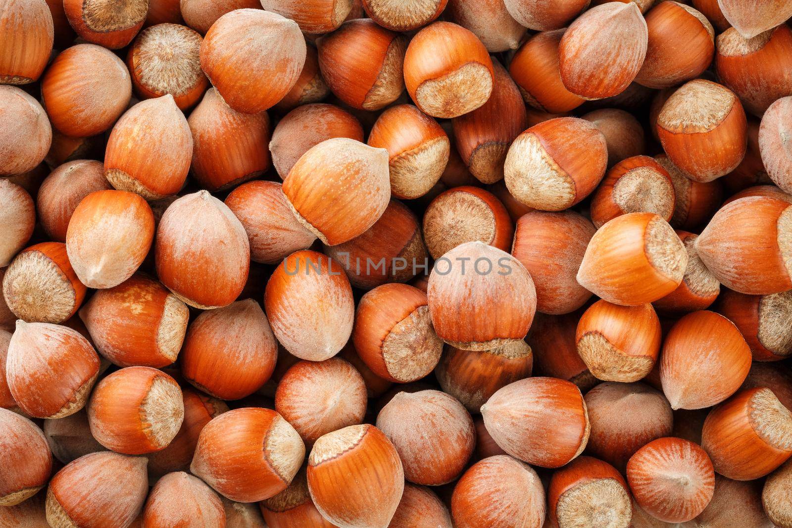 Dried unshelled hazelnuts seeds of Whole nuts as background by AlexGrec