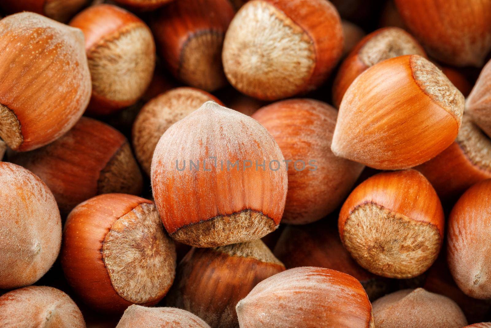 Dried unshelled hazelnuts seeds of Whole nuts as background by AlexGrec