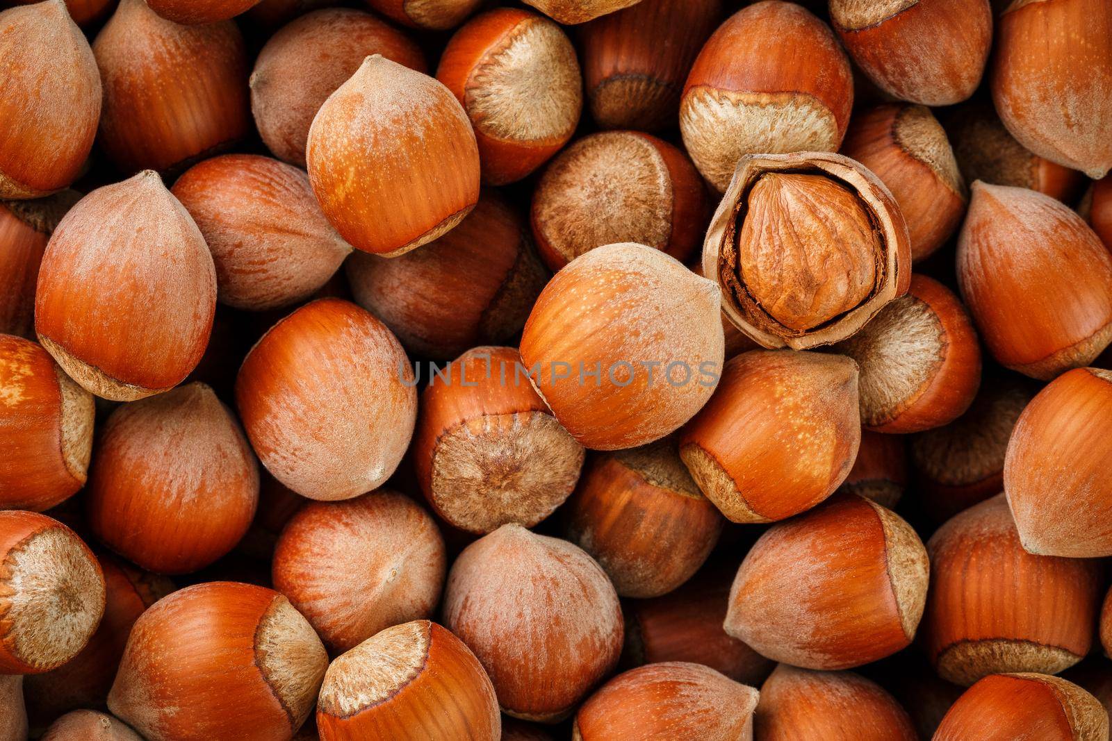 Hazelnuts. Stack of hazelnuts. Food background. Hazelnut background. Hazelnuts in shells background, peeled nut