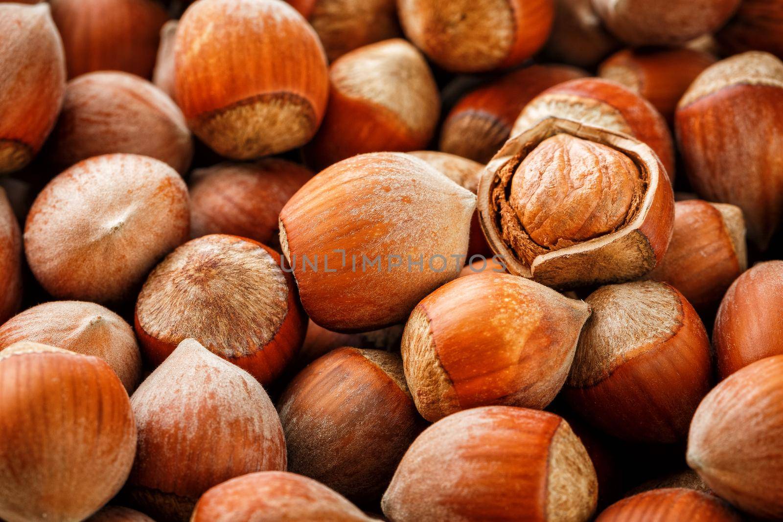 Hazelnuts. Stack of hazelnuts. Food background. Hazelnut background. Hazelnuts in shells background, peeled nut