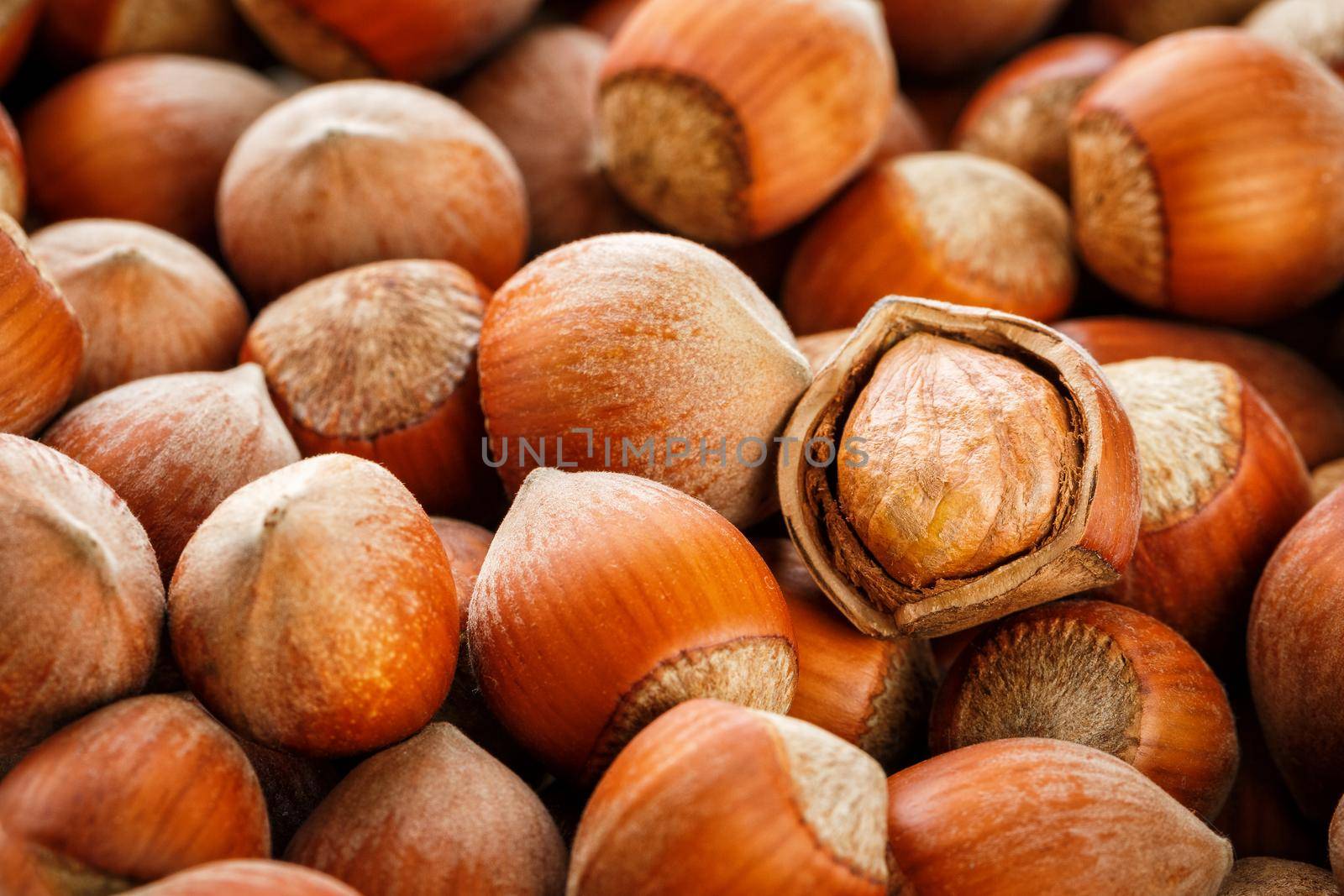 Hazelnuts. Stack of hazelnuts. Food background. Hazelnut background. Hazelnuts in shells background, peeled nut