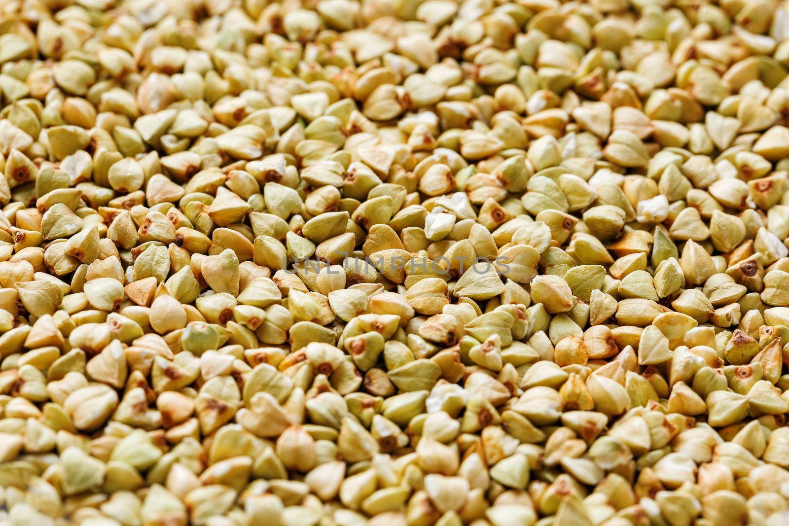 raw green buckwheat background, organic vegan food. Texture by AlexGrec