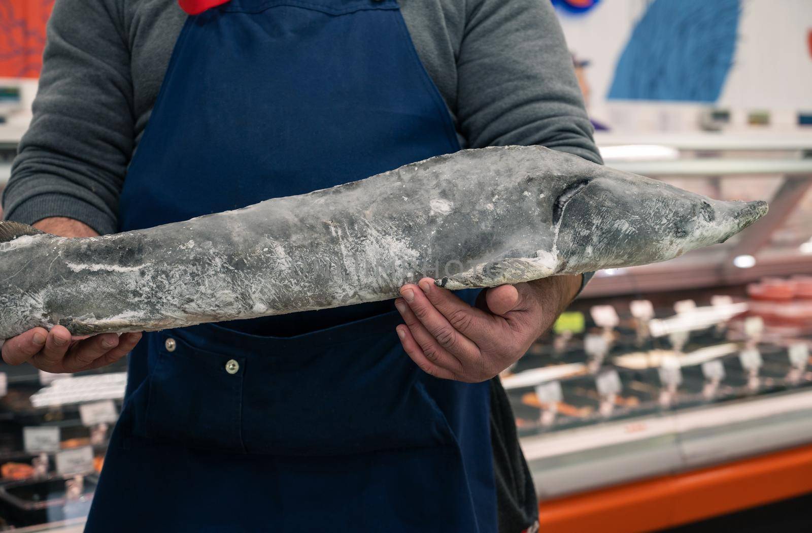 Male fishmonger or fish market worker holding large sturgeon fish