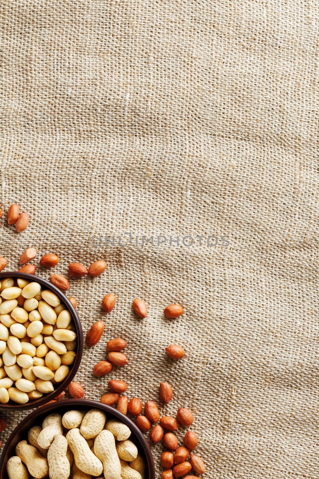 Peanuts in the shell and peeled closeup in a cup. Background with peanuts. Roasted peanuts in the shell and peeled on a background of brown cloth in cups