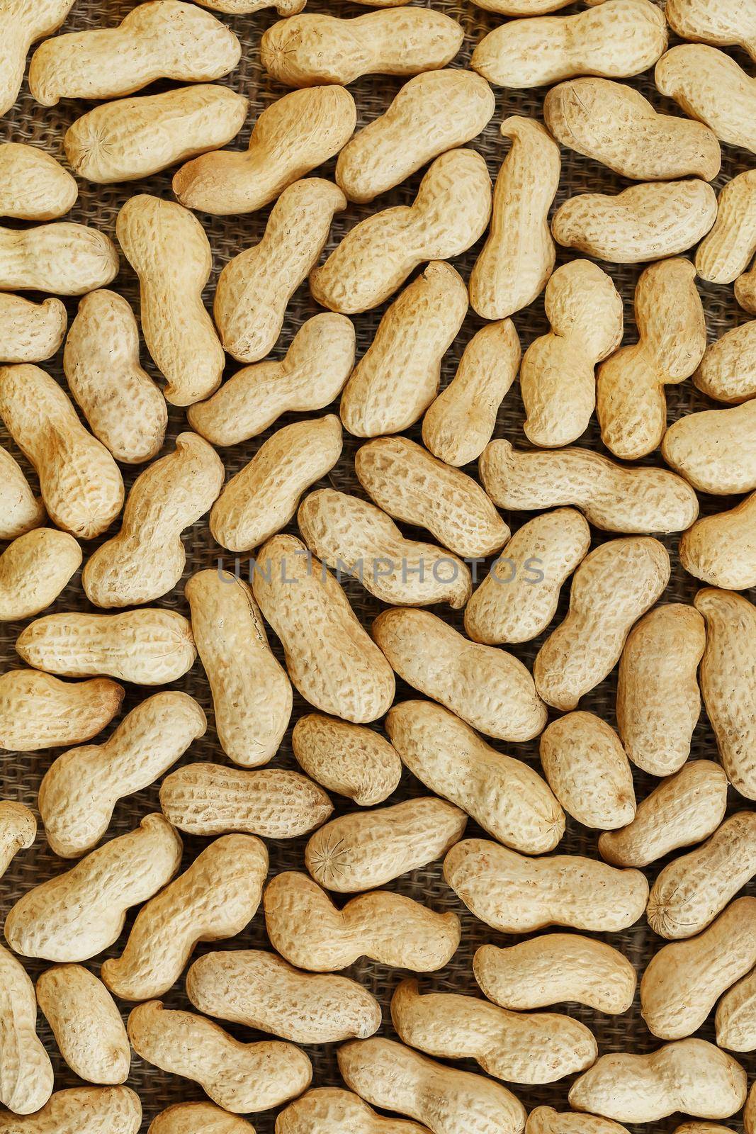 Peanuts in their food texture background. Golden shell roasted peanuts. Organic Vegan Protein Source.