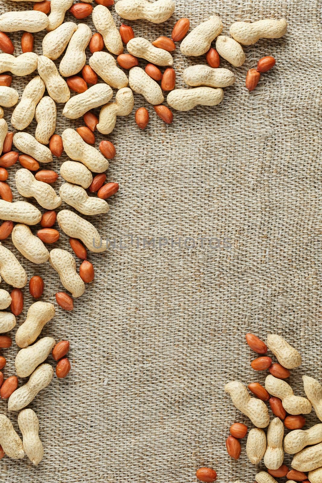 Peanut in shell and peeled peanuts closeup. Background with peanuts. Roasted peanuts in a shell and peeled on a brown fabric background.