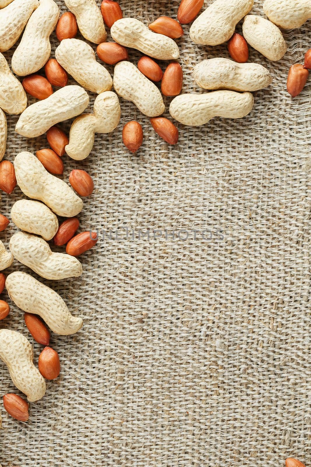 Peanut in shell and peeled peanuts closeup. Background with peanuts. Roasted peanuts in a shell and peeled on a brown fabric background.