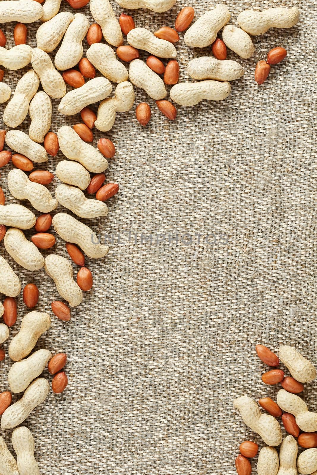Peanut in shell and peeled peanuts closeup. Background with peanuts. Roasted peanuts in a shell and peeled on a brown fabric background.