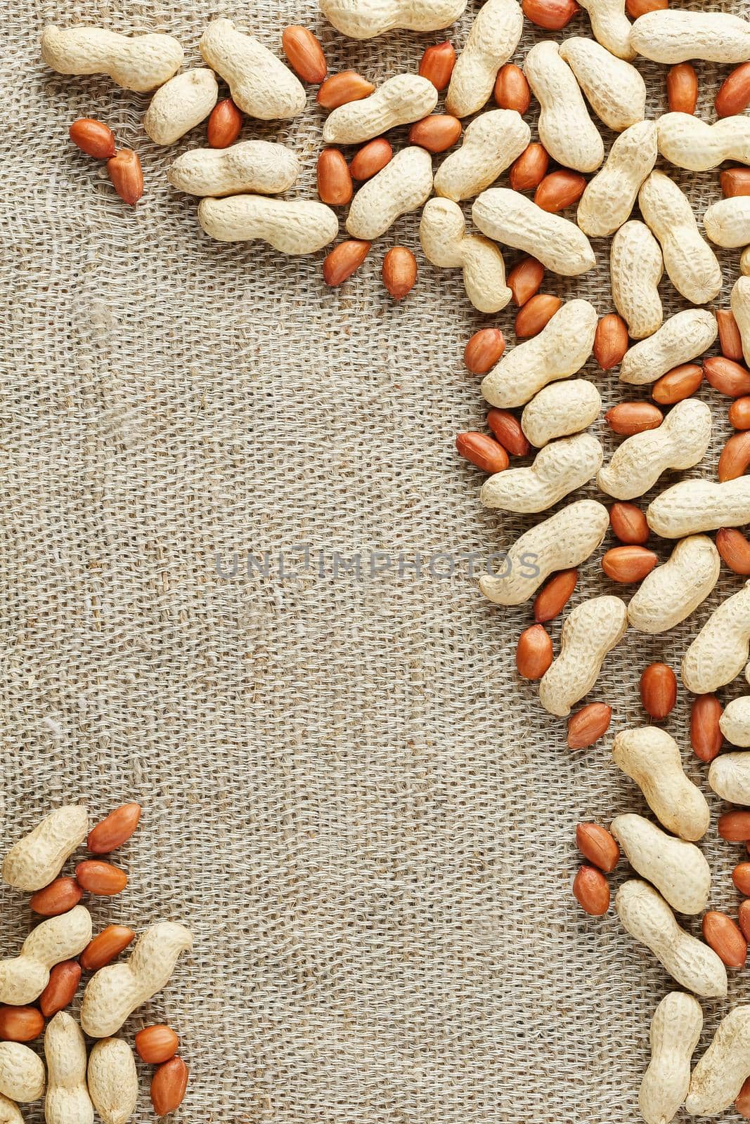 Peanut in shell and peeled peanuts closeup. Background with peanuts. Roasted peanuts in a shell and peeled on a brown fabric background.