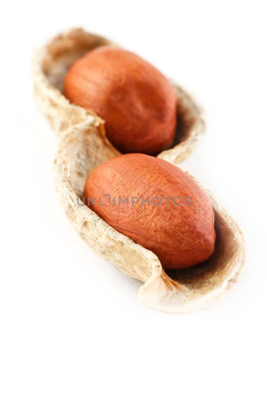 Peanuts isolated on white background. Peeled Peel and Scarlup Macro Peanuts.