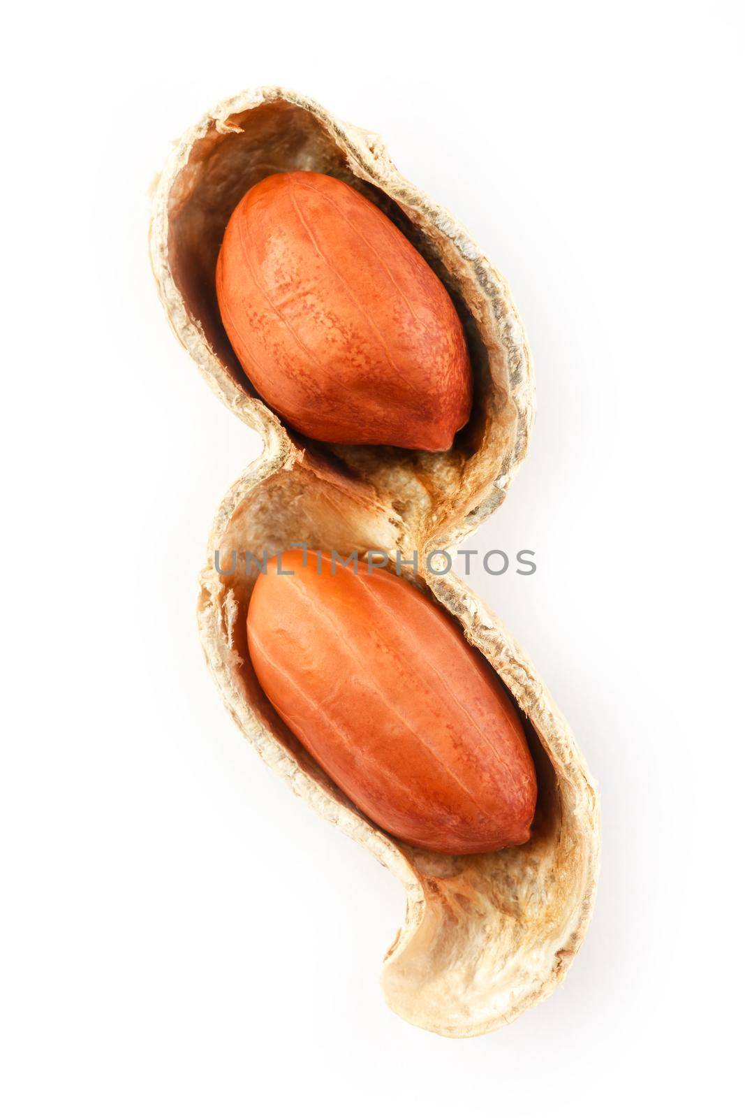 Peanuts isolated on white background. Peeled Peel and Scarlup Macro Peanuts.