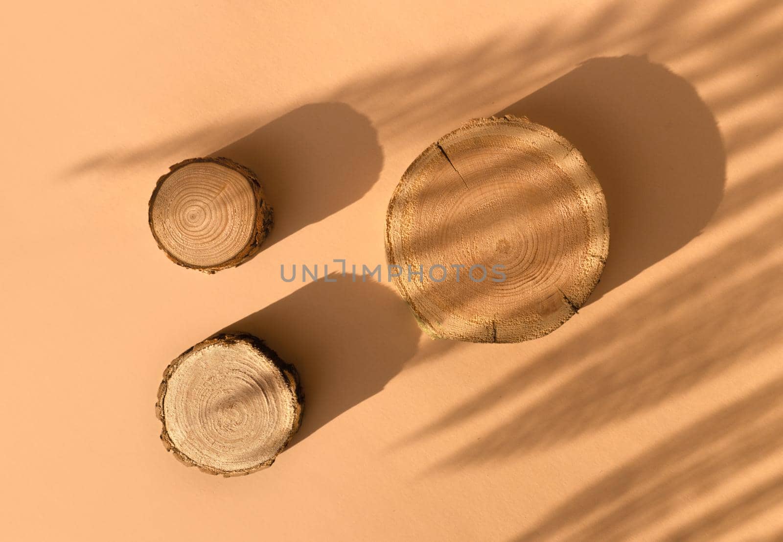 Three wooden disks lie on a trendy beige background with flower shadows. A platform made of trees for luxury and natural cosmetics or products presentation. Wood tray mockup in the sunlight. Top view
