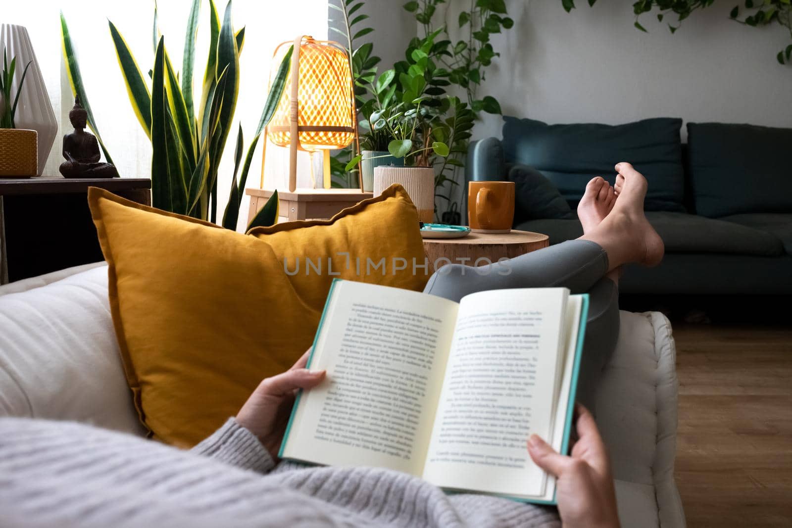 POV of young woman relaxing at home reading a book lying on sofa. by Hoverstock