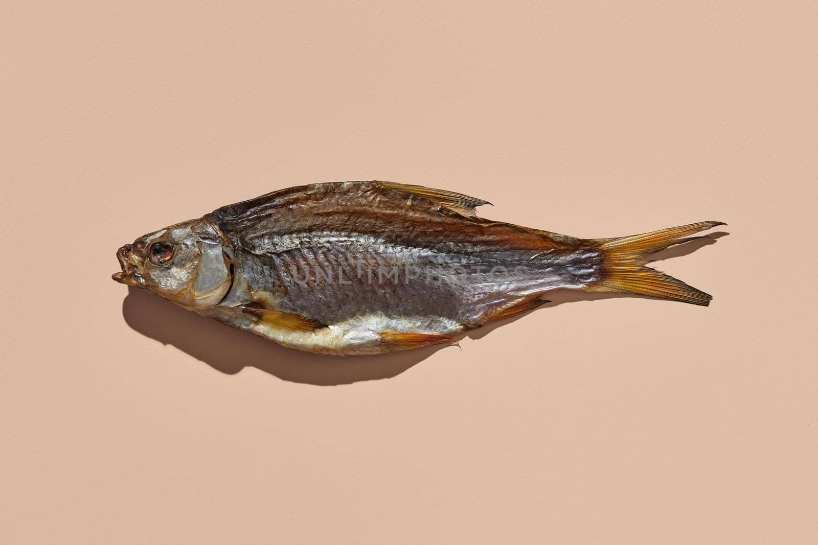 One jerky or dried salty roach, delicious clipfish on pink background. Famous beer appetizer. Traditional way of preserving fish. Close up, copy space, top view