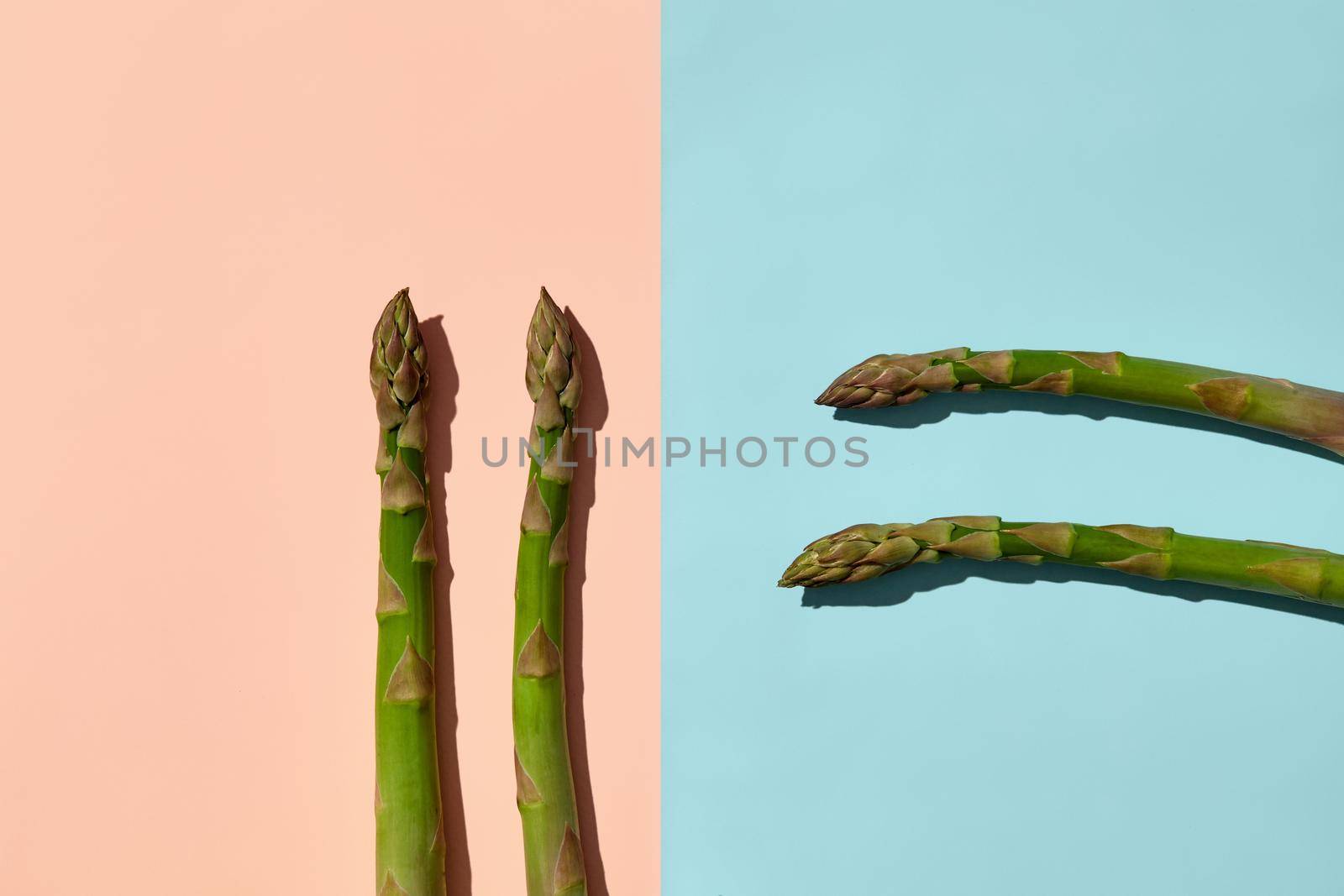 Four green raw asparagus stalks on blue and pink background. Concept of healthy nutrition, food and seasonal vegetables harvest. Close up, copy space. Flat lay, top view