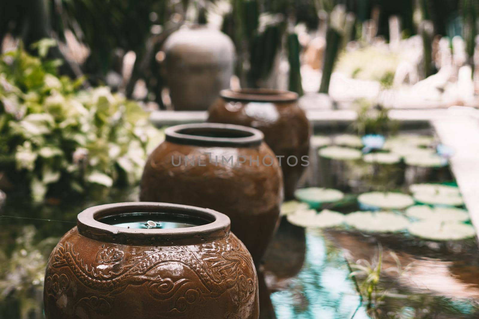 House landscape design. Large dark beige brown retro vintage ceramic decor jugs, water pool lilies green leaves reflect sky. Outdoor tropical plants cactus. Real nature background peace harmony.