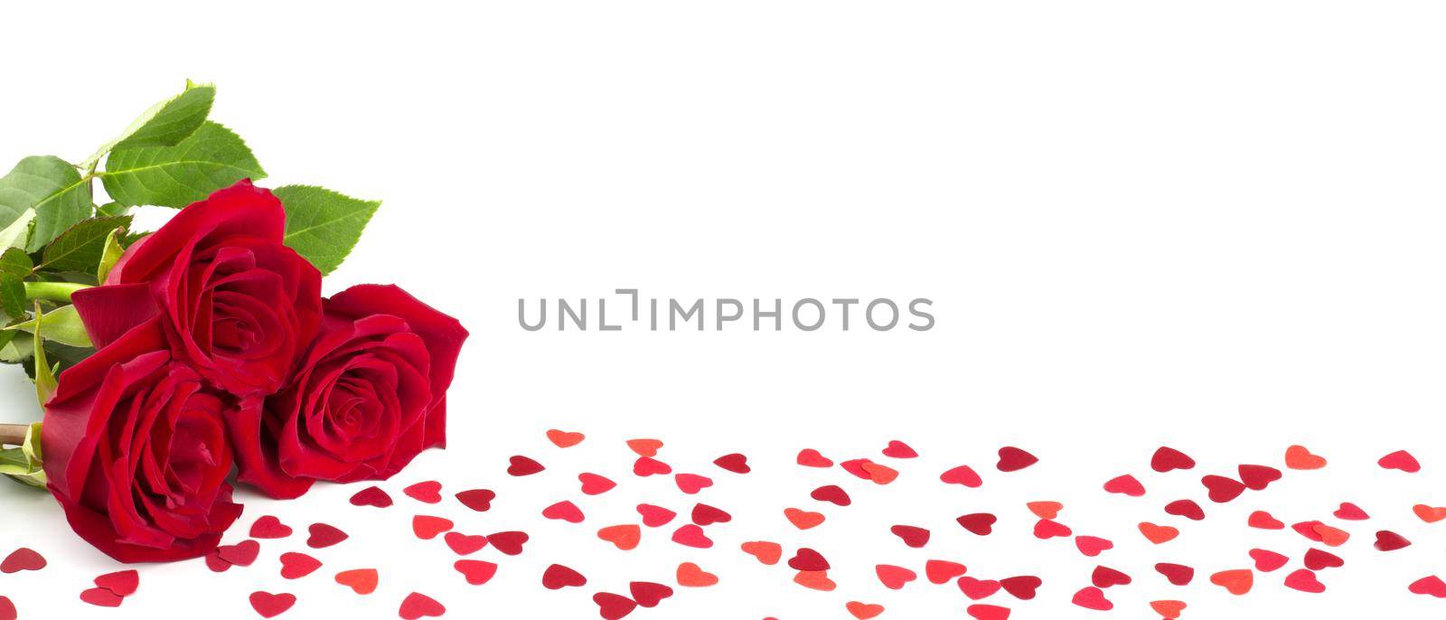 Red roses and hearts on white background by destillat