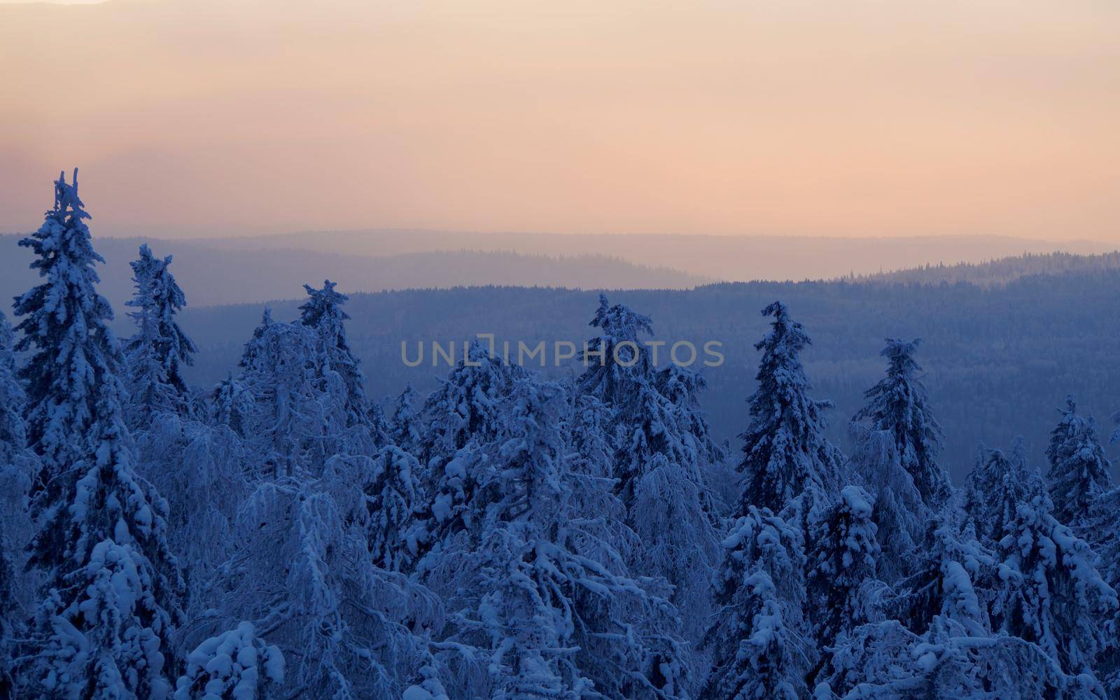Snow-covered trees in winter at sunset in the foothills of the Ural mountains