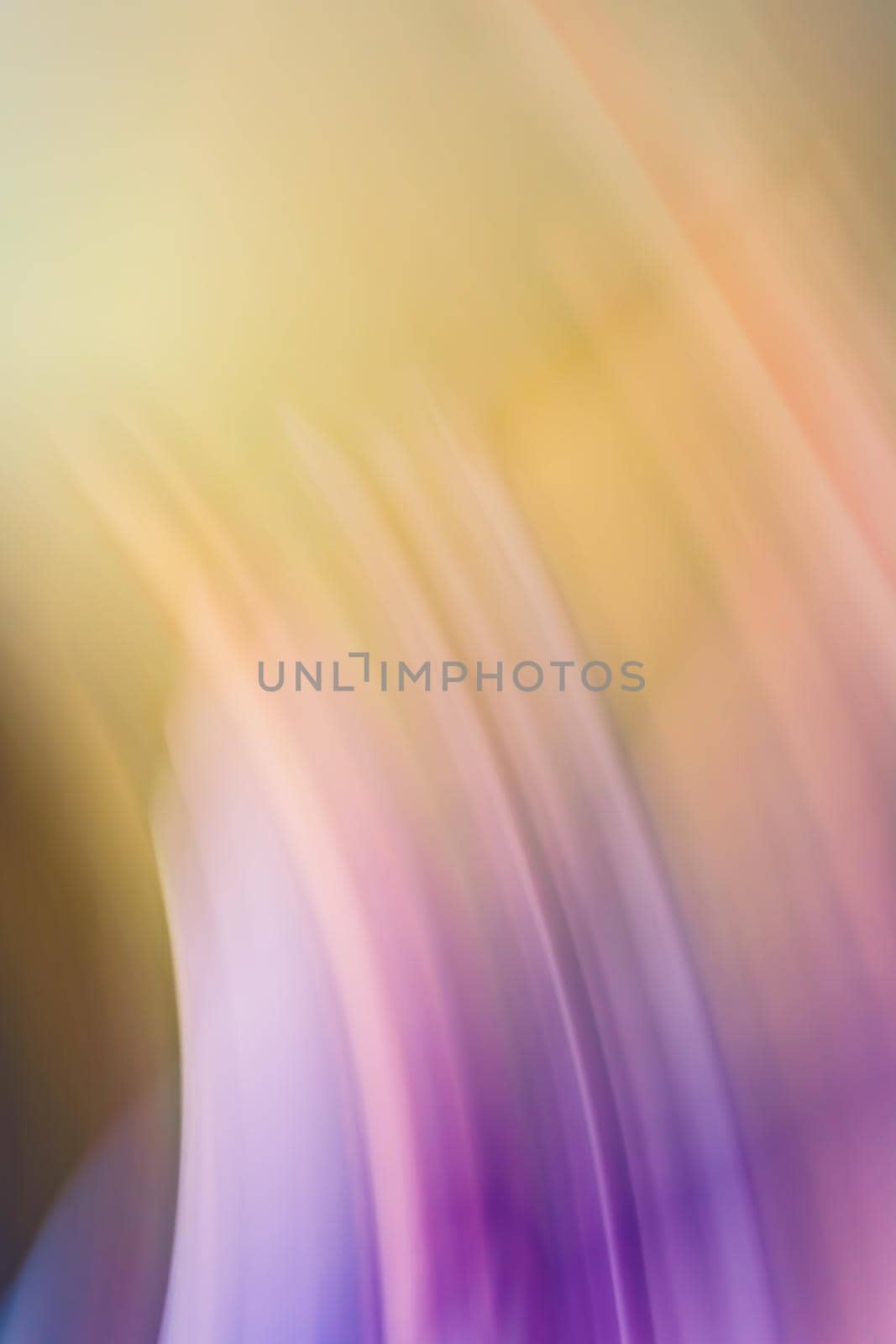 Abstract lilac yellow orange vertical background. Arc lines in the refraction of light. Backdrop.