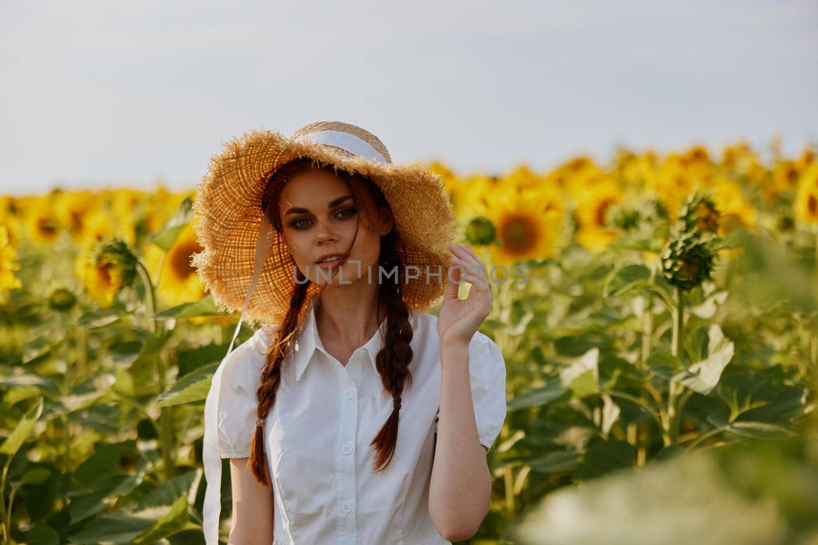 beautiful sweet girl in a straw hat in a white dress a field of sunflowers agriculture unaltered by SHOTPRIME