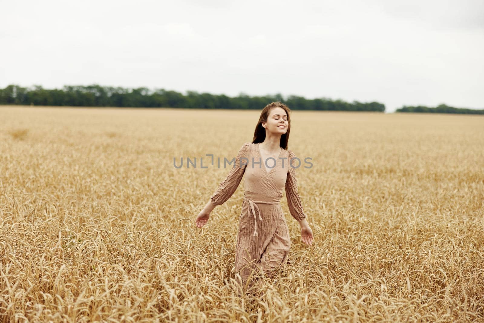 female hand the farmer concerned the ripening of wheat ears in early summer sunny day. High quality photo