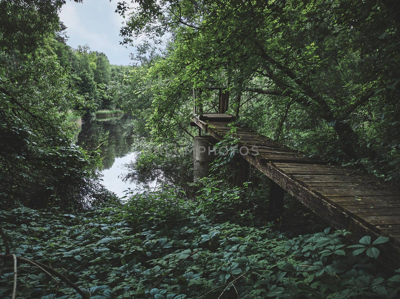 An old abandoned pier by a beautiful lake in the woods. Old broken wooden bridge in the reeds for fishermen by artgf
