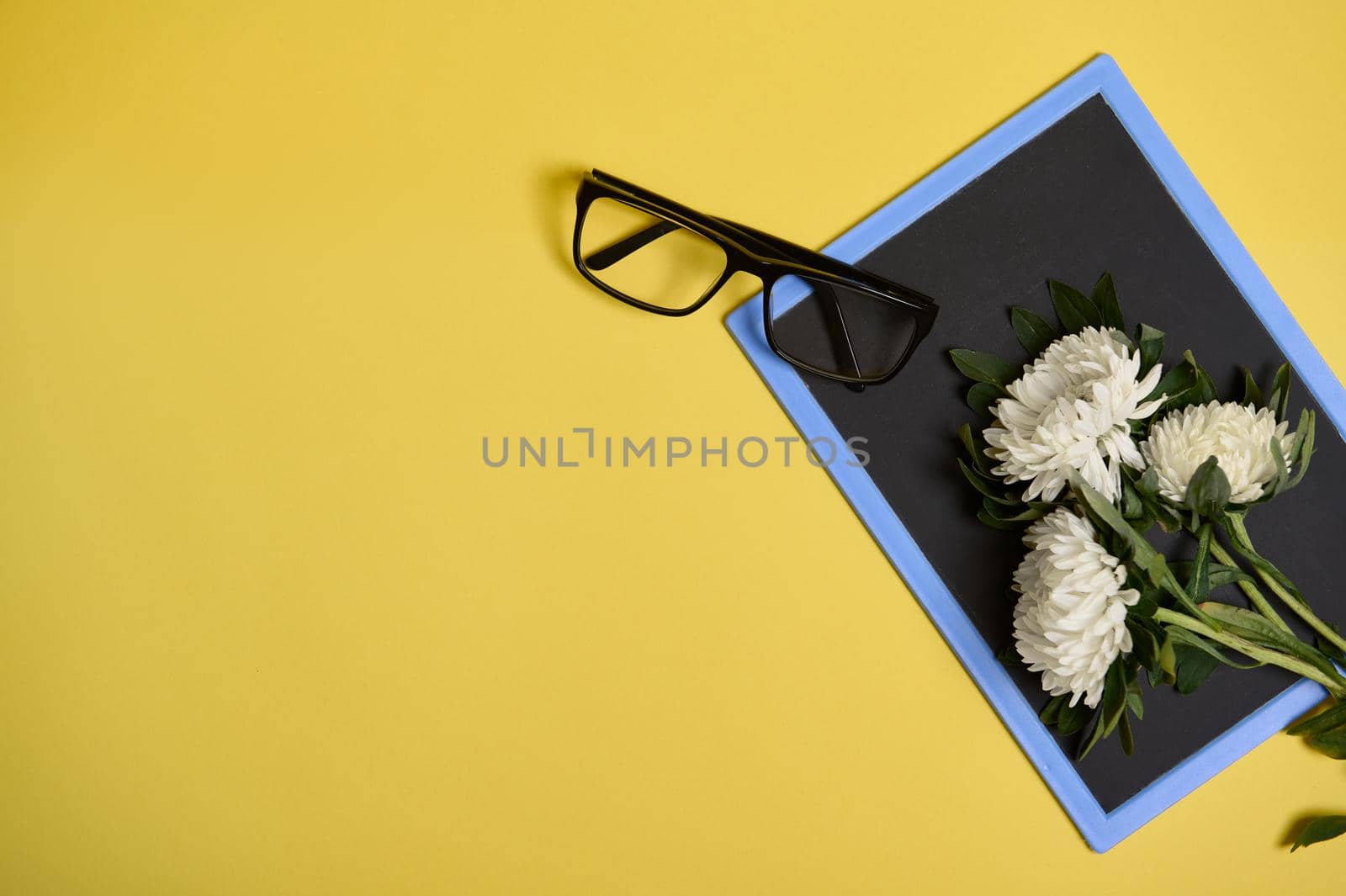 Flat lay of delicate beautiful bouquet of asters autumn flowers and glasses on a blank empty chalkboard with space for text isolated on yellow background by artgf