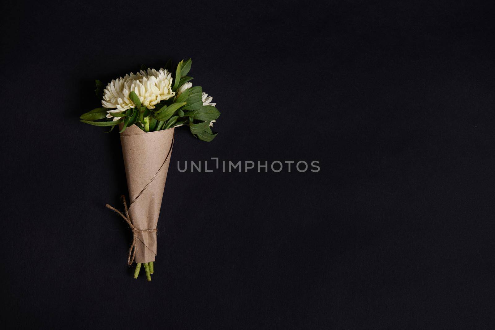 Flay lay of a beautiful minimalist bouquet of white asters, autumn flowers isolated on black background with copy space. Floral border.