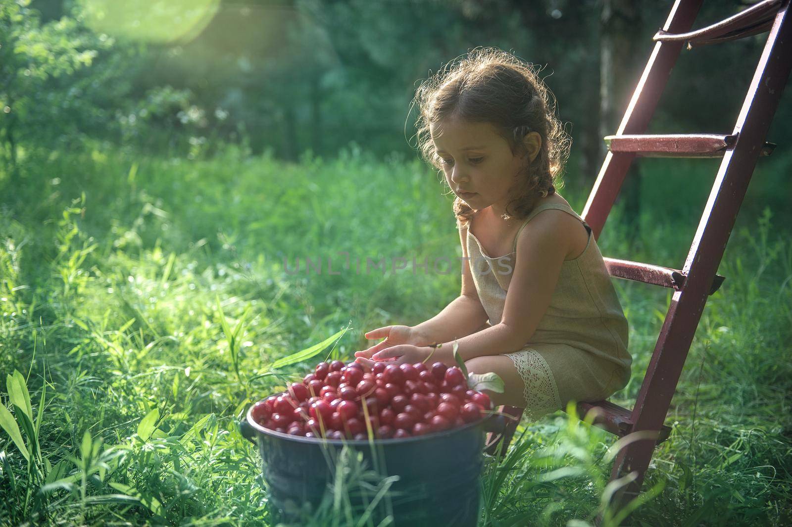 Portrait of a little girl in a linen dress sitting on a stepladder next to a bucket of cherries in the garden of a country house at sunset.