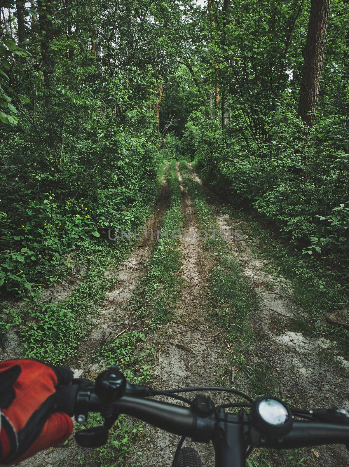 View of an overgrown path in the forest through the eyes of a cyclist. Cycling, bicycle cyclist, discover nature by artgf
