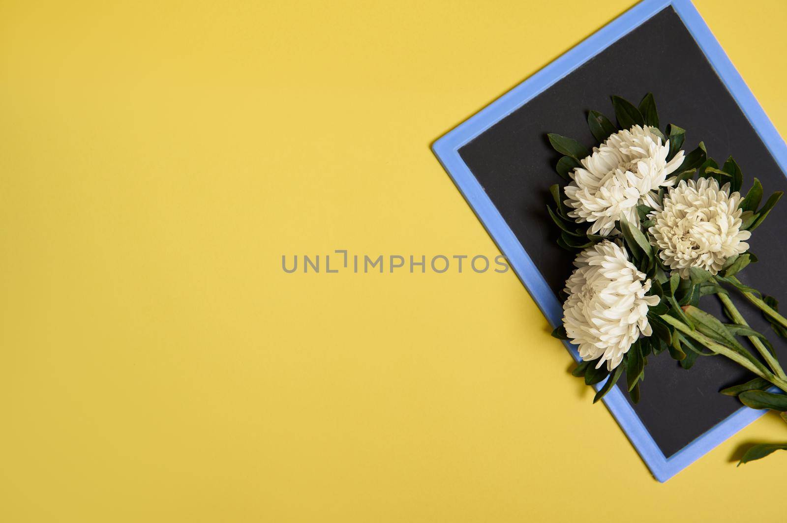 Flat lay of delicate beautiful stylish bouquet of asters flowers on a blank empty chalkboard with space for text isolated on yellow background by artgf