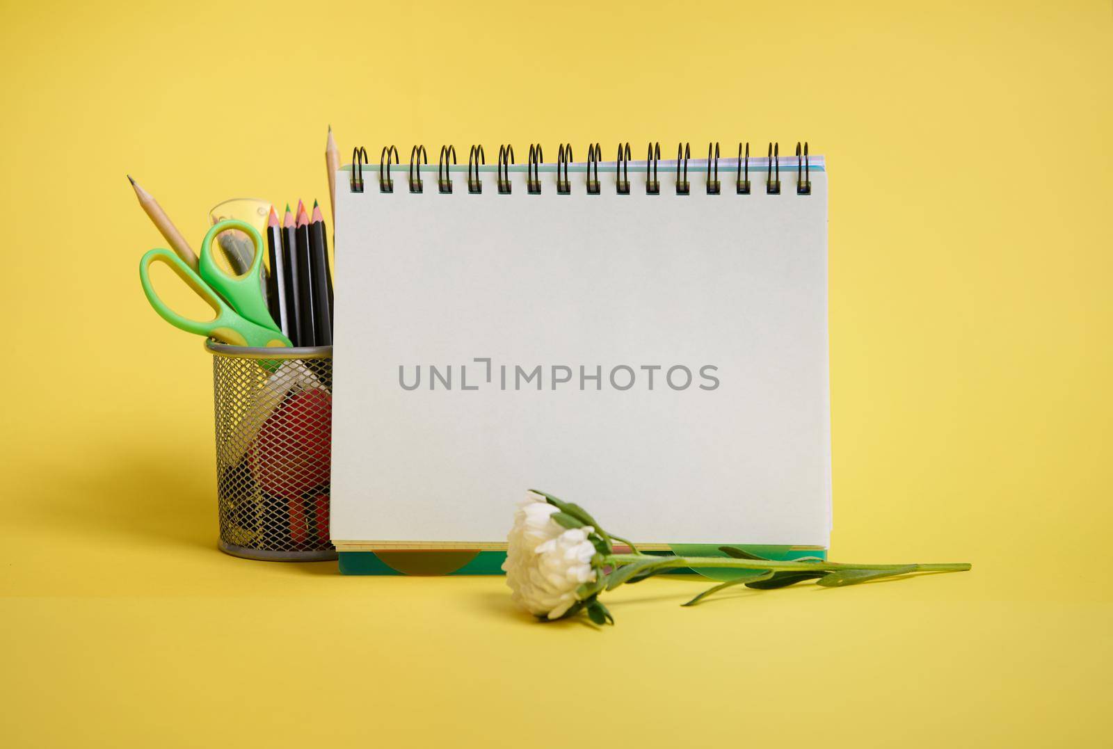 Close-up of a metal bucket with stationery. Holder with colored school supplies, empty blank white paper sheet of an organizer and aster flower lying down on yellow background with copy space