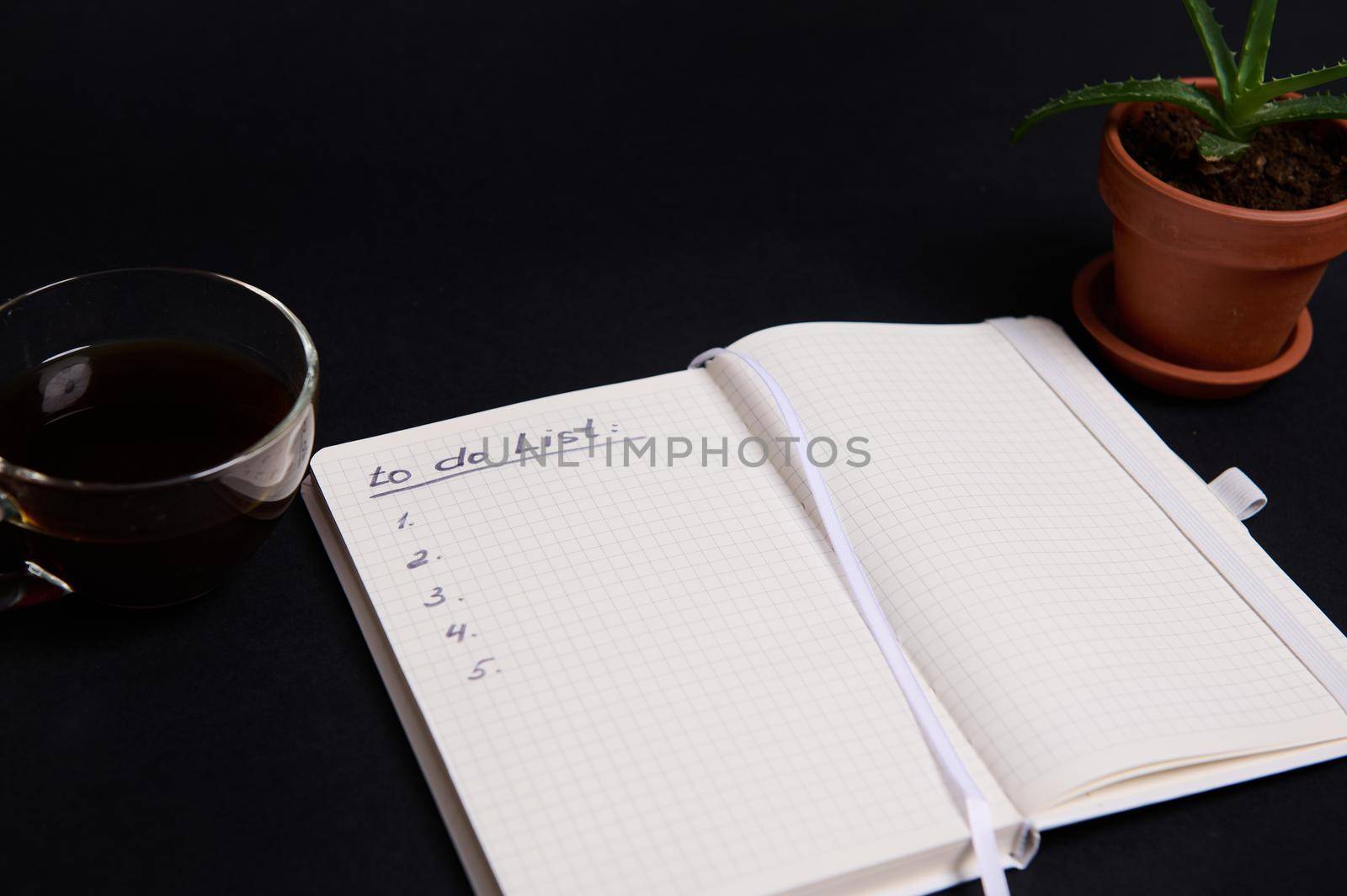 Opened agenda, notepad, organizer with list to do on blank white sheets, cup of coffee and potted succulent in clay pot, on black background with copy space. Business, Organization, Time Management