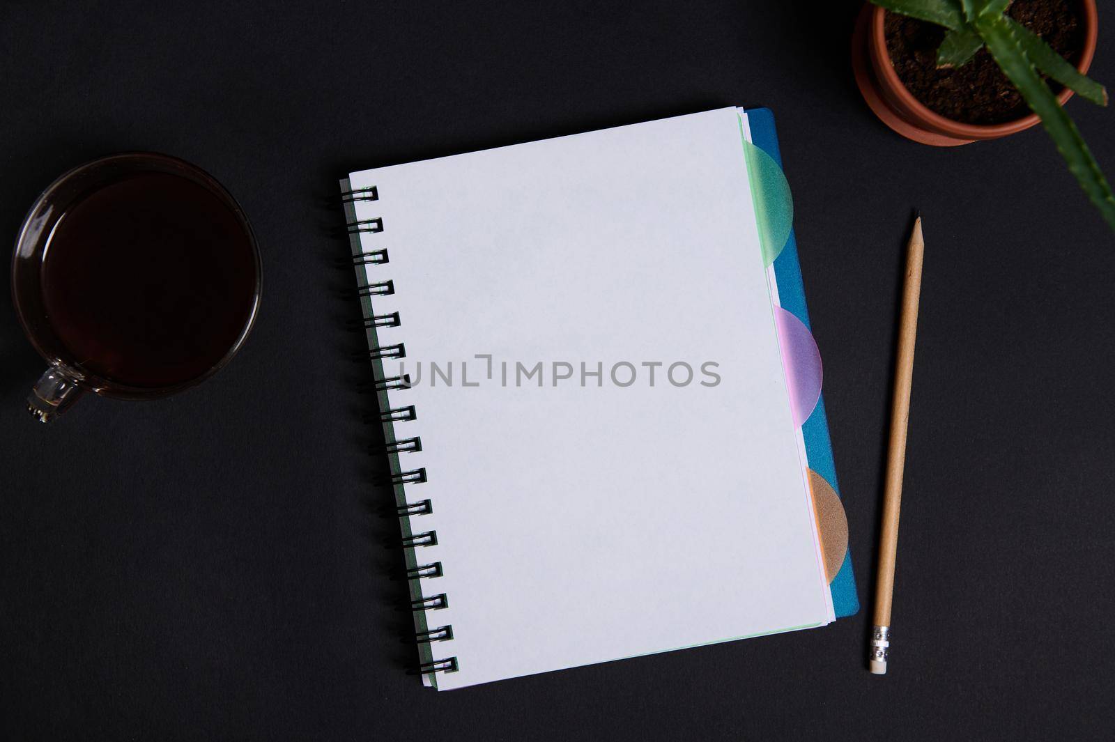 A potted succulent in clay pot, cup of coffee and wooden pencil lying down next to a copybook, notepad, organizer with white blank sheet with space for text, on black table background