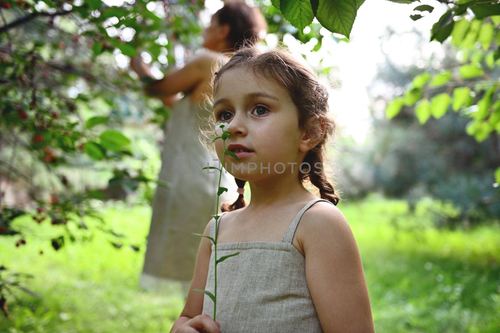 Beautiful little girl enjoying the scent of a wildflower against the background of her mother picking cherries in the orchard